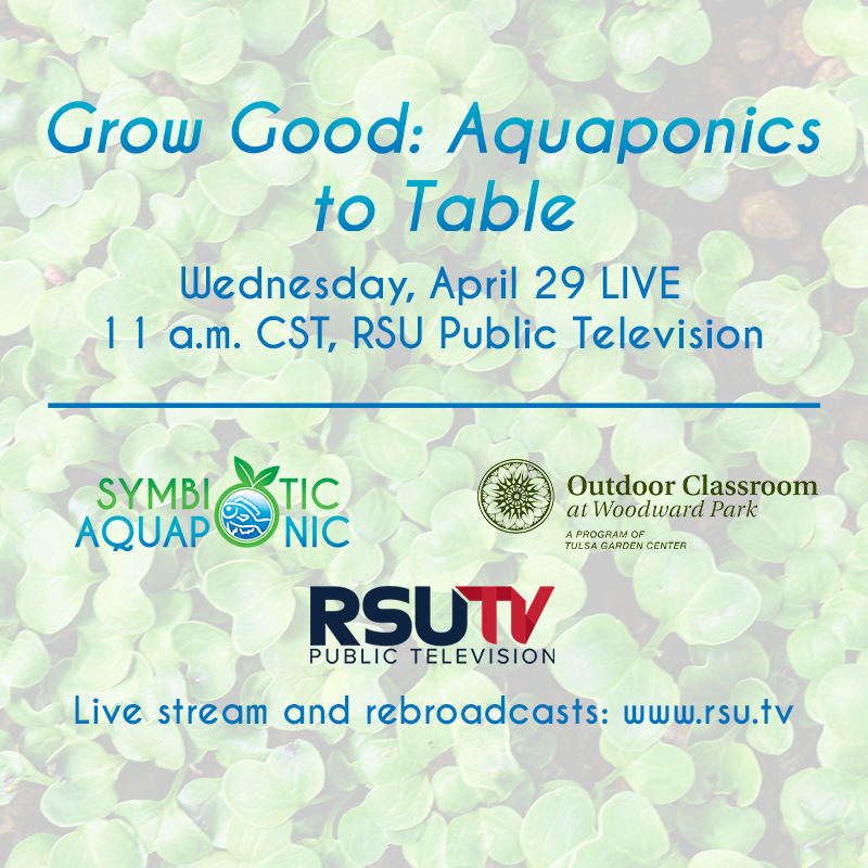 BosRoost's tweet photo. Explore how Nitrogen is one of the most common elements in living organisms but it also is out of balance globally. It helps bring healthy food to the table via aquaponics! Dive into science &amp; engineering that tastes good! @TulsaSTEM @TulsaGardenCtr @SchustermanFoun @LeeAnnePower https://t.co/zEikfeW6zr