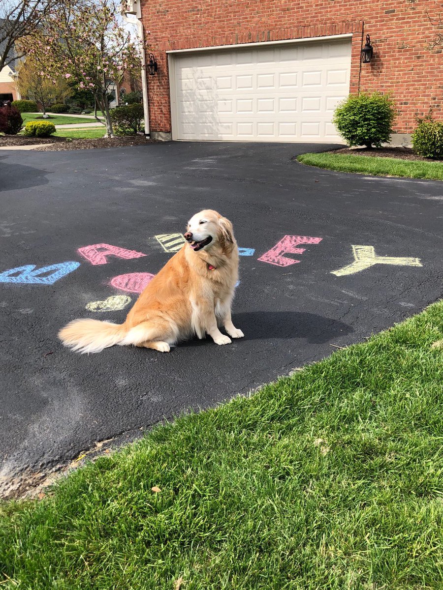 SymmesElem's tweet photo. Bailey misses you all at Symmes and send love!💕💕 https://t.co/Rnn6Foq38k