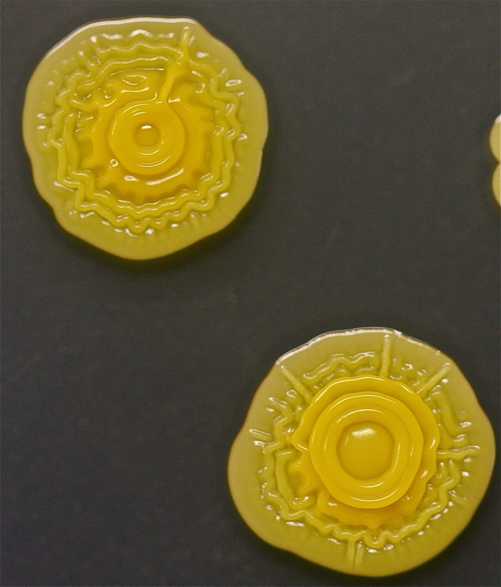 #DescribeThatMicrobe Agar contaminants looking like something out of Star trek! #SciComm #Science #microbiology <a href="/ASMicrobiology/">ASM</a> @SfAMtweets <a href="/ContamClub/">Contamination Club</a>