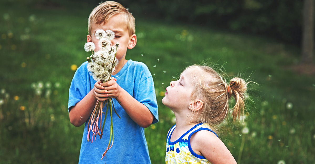 GOeVisit tweet media