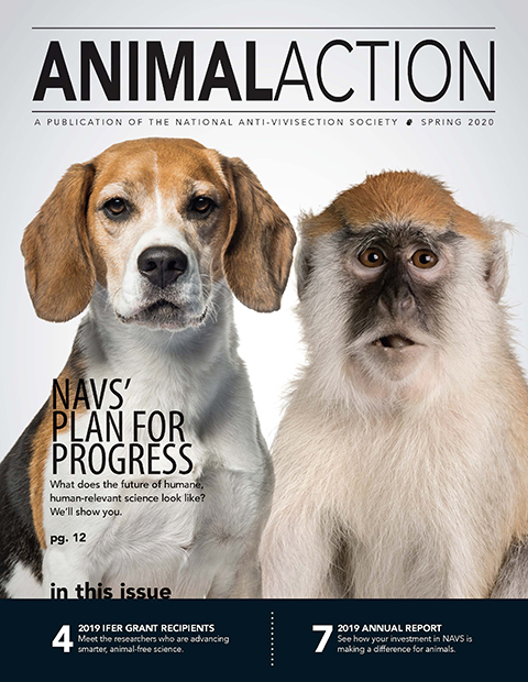NAVS_US's tweet photo. Our spring ๐ธ๐๐๐๐๐ ๐ธ๐๐ฅ๐๐ ๐ is available now! Announcing the start of our annual Art for Animals competition, in addition to releasing our Plan for Progress for ending the exploitation of animals used in science #AnimalAction
Get your copy here: https://t.co/CWiDoS68o4 https://t.co/gg3o4gvr4C