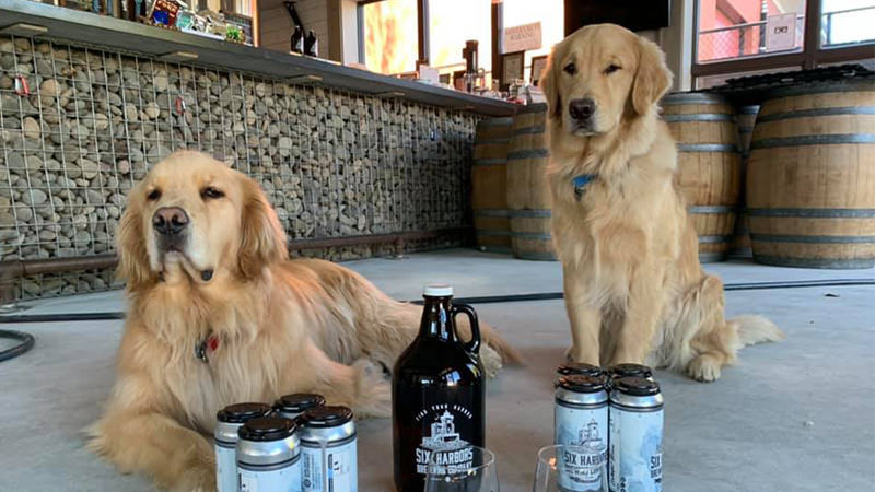 They're all business, the business of good times and awesomeness! That's drinking made adorably easy! <a href="/VinePair/">VinePair</a> <a href="/huntingtonbeer/">Six Harbors Brewing</a>

                              ====== \ / ======
Meet the Two Dogs Delivering Beer and Smiles for This Long Island Craft Brewery
vinepair.com/booze-news/dog…