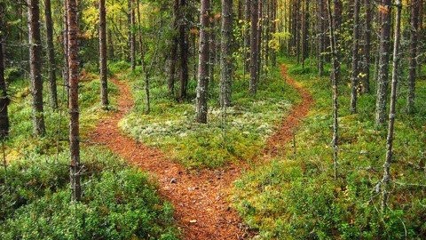 KenLRoberts1's tweet photo. Find out What Most People Don'tHave But Everyone Needs!
#personalgrowth #livingonpurpose #apersonalcompass
https://t.co/WAL2CwJQju https://t.co/zjb4BrrMNE