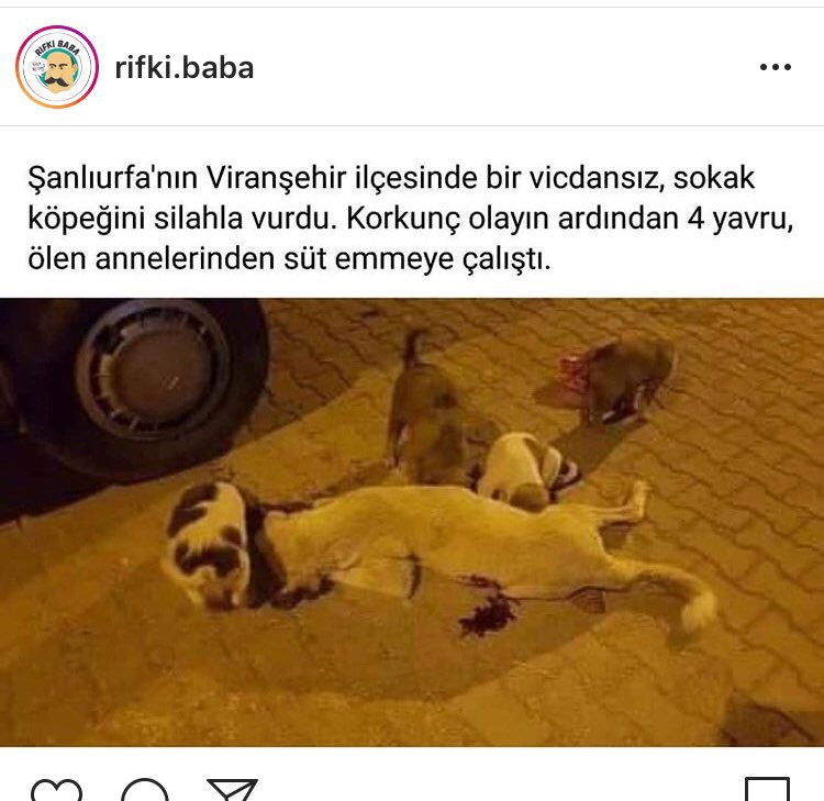 burcutds's tweet photo. @haluklevent https://t.co/XyToUQ9OIQ