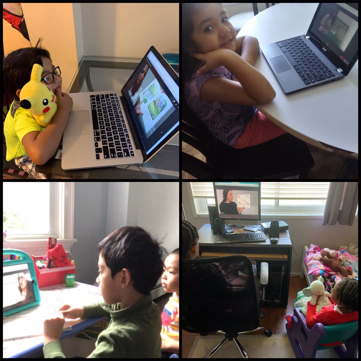 Christina Bertolacci tweet media