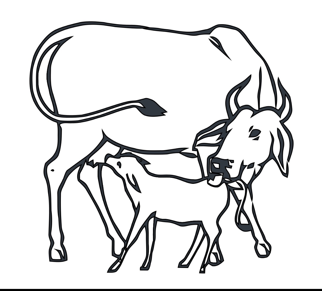 bipinchauhan's tweet photo. #गौ_हत्या बंद हो उद्देश्य नहीं है #India वासियों संग @INCIndia @priyankagandhi @RahulGandhi का,👀👇दादी जी https://t.co/ZyCcQvAPCu द्वारा स्थापित थी,धर्मसम्राट @Swami_Karpatri जी को वादा भी किया था। @govardhanmath @sringerimath @ShankaraPeetha @Shankaracarya36 हम सब साथ होंगें 🇮🇳 https://t.co/E43xrjPD3j