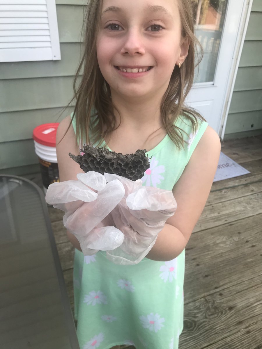 Larissa Potts tweet media