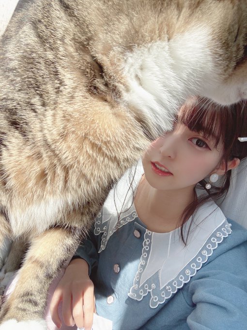 コスプレイヤー猫田あしゅのTwitter画像30