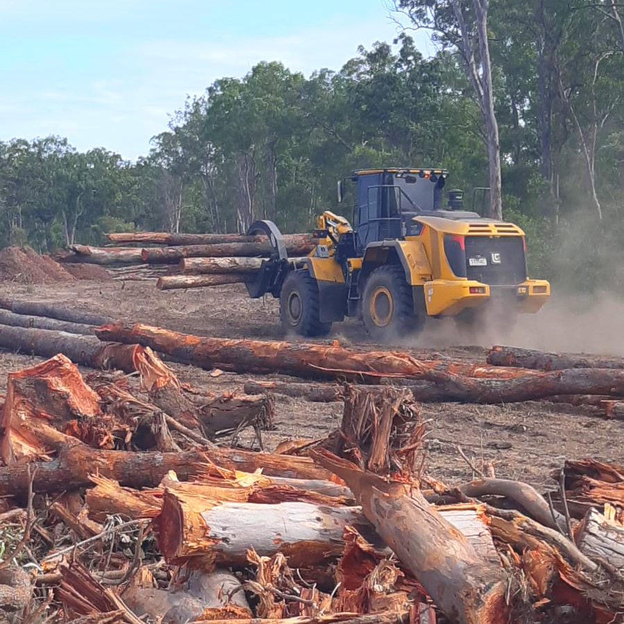 BVMachinery's tweet photo. How many logs can you bench? 💪 #Luigong #856H
@qldmulching @jaidenvary @liugongmachinery
.
.
#loader #construction #earthmoving #arborist #machinery #luigongloaders #customervisit #onsite #NSW https://t.co/6YqkhcNNLF