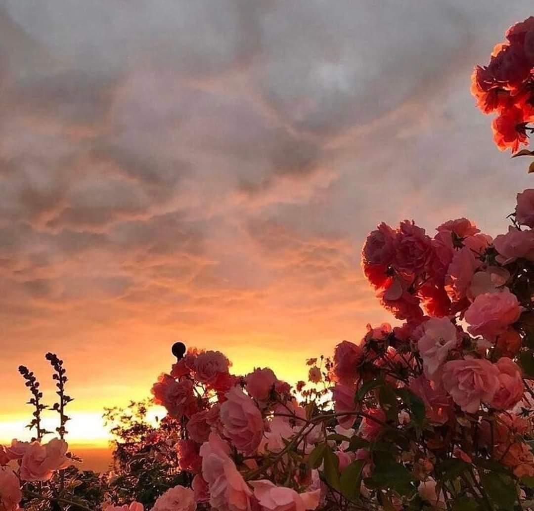 الانسحاب جُبْن إلا في ثلاثة مواضع : 
١ - الانسحاب من نقاش عقيم لا نتيجة له 
٢ - الانسحاب من علاقة رديئة لا مستقبل لها 
٣ - الانسحاب من مكان لا يَعرف أهلُه قيمتَك