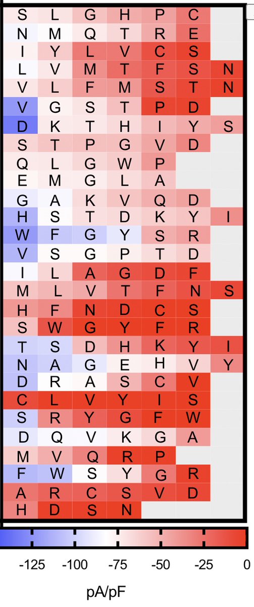VictorChangInst's tweet photo. #PaulKornerSeminar Presenter Andy Ng: "Great progress from @VandenbergJamie @lab_mcl developing a database of KCNH2 variants phenotyped by #SyncroPatch 384PE to help classification of variants in #ClinVar and any future variants identified by @AusGenomics #longQT" https://t.co/ekk8Pn1UGi