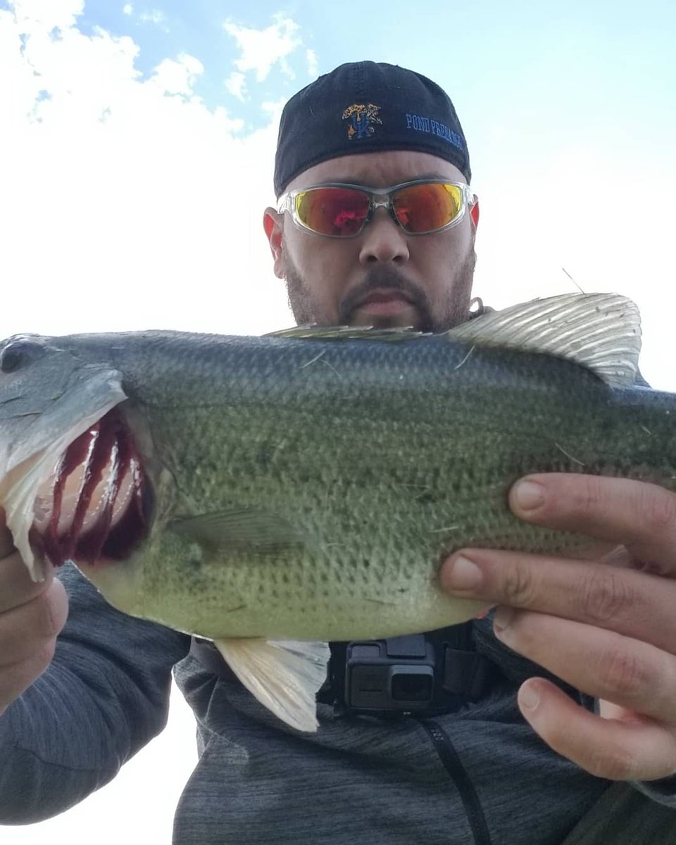 Bass Junkies (Bass_Junkies_TV) Twitter