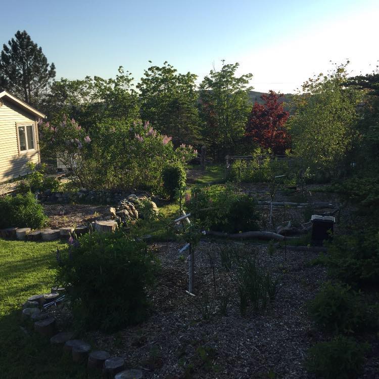 We are hosting a workshop on Permaculture and Food Forests (attendance is by donation). Details here: st-johns-tool-library-inc.square.site/product/permac…