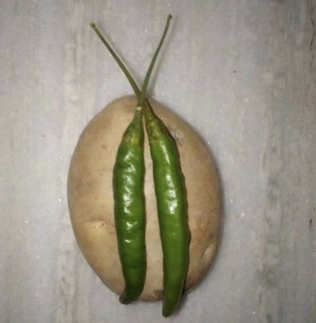 PranavDass6's tweet photo. Chilly potato by me 
Follow me for more recipes 😍😂😂 https://t.co/NylJqUJiav