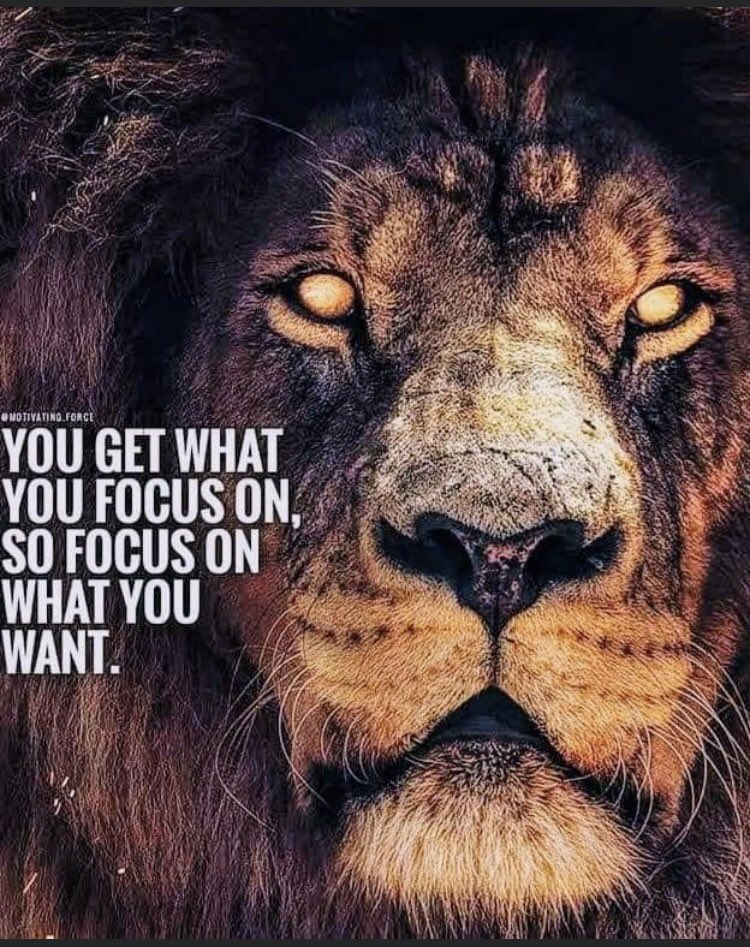 True for Home and Work!