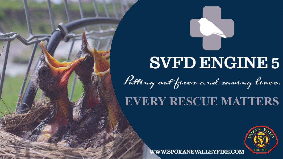 SpokaneValleyFD's tweet image. Engine 5 crews responded to a call of a reported nest fire atop a power pole. E5 said the nest was large like a bird of prey nest.  Crews put the fire out &amp;amp; turned the scene over to Avista. #wedoeverything