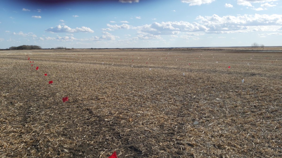 ag_horizon's tweet photo. I hope every spray day is this perfect.#18c #nowind #nothumid #smalltrial https://t.co/lO1CkavmxZ