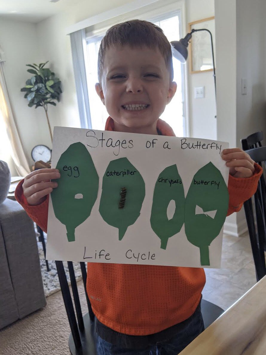 AliensEndeavour's tweet photo. Today the Aliens learned all about the life cycle of a butterfly! 🥚🐛🦋 #nhtschoolstogether https://t.co/ABaMMNE0q5