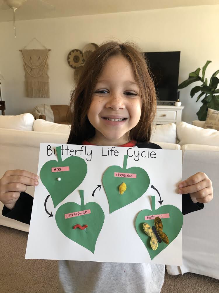 AliensEndeavour's tweet photo. Today the Aliens learned all about the life cycle of a butterfly! 🥚🐛🦋 #nhtschoolstogether https://t.co/ABaMMNE0q5