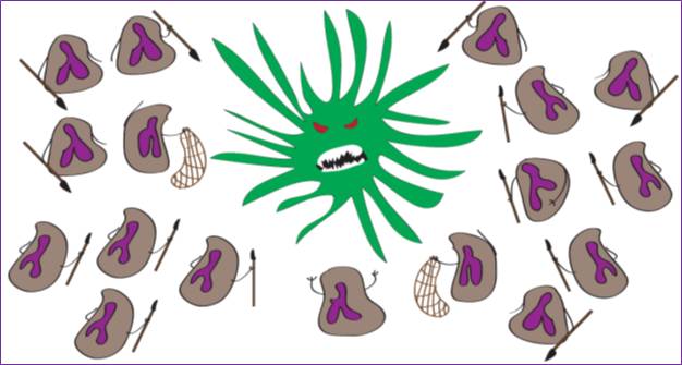 Daniel Irimia tweet media