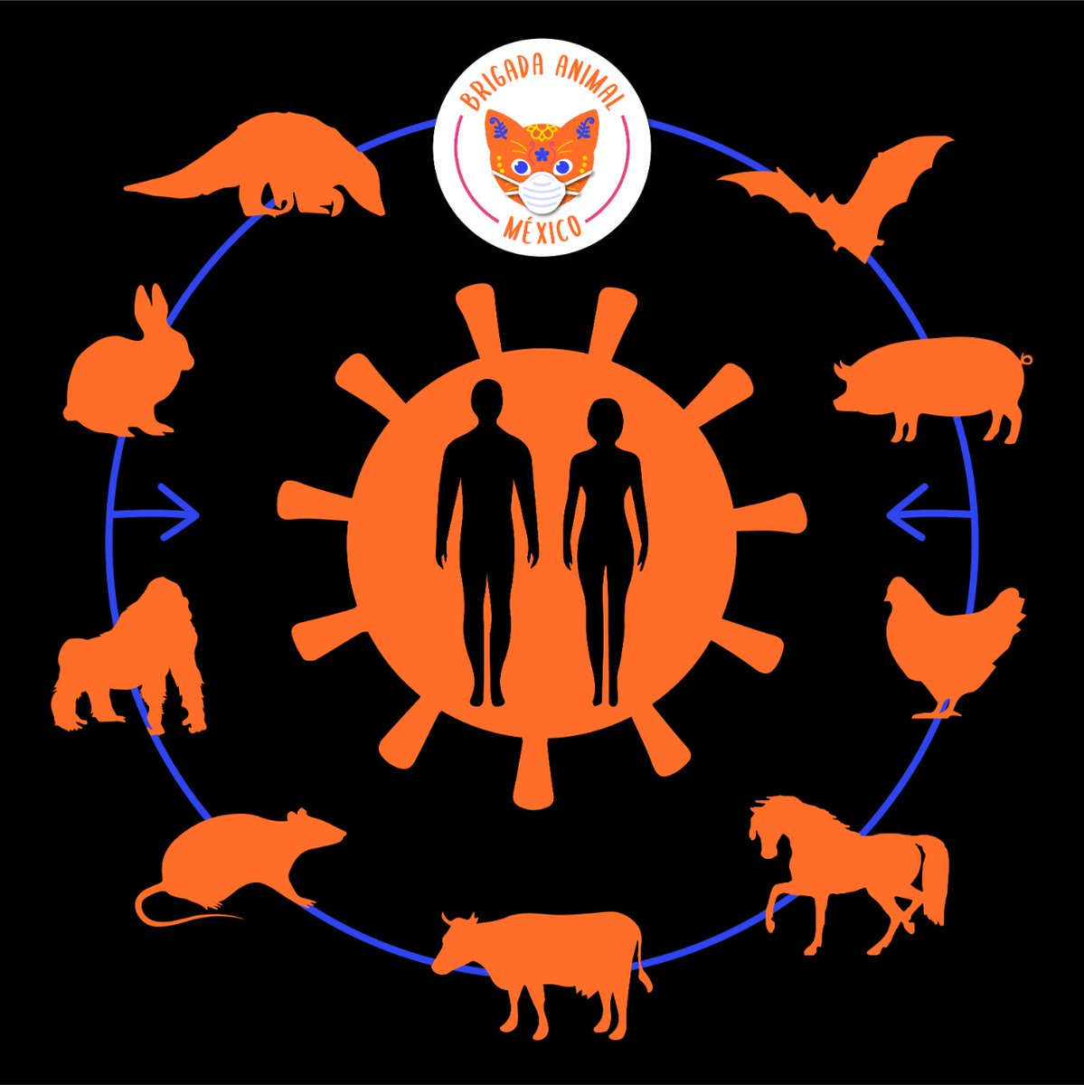 Brigada_Animal's tweet image. ¿Has escuchado sobre las enfermedades zoonóticas? 

 Les invitamos a escuchar este podcast en donde brigadistas de Brigada Animal México nos platican sobre estas enfermedades, el #coronavirus y su relación con la explotación animal. 

➡️ spoti.fi/3aNSiBk

#LiberacionAnimal