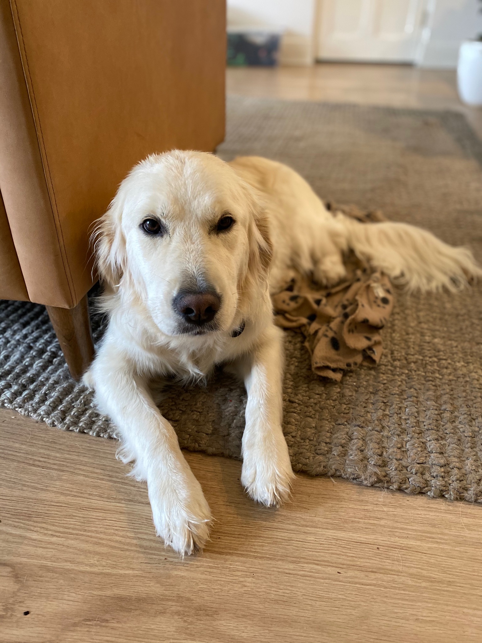 Tom Richardson on X: “As they said in Apocalypse Now, I love the