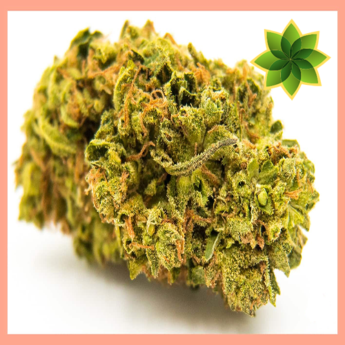 CannabiMedia's tweet photo. ¿Qué es Mango Kush?
La variedad de Cannabis Mango Kush tiene un sabor similar al de la fruta de mango actual, con un sabor distintivo de kush y toques de pino en la exhalación. Sus brotes están cubiertos de pistilos...
¿Quieres saber mas?
👇👇👇
https://t.co/E7wS8dAprH https://t.co/YGmX4GO4oF