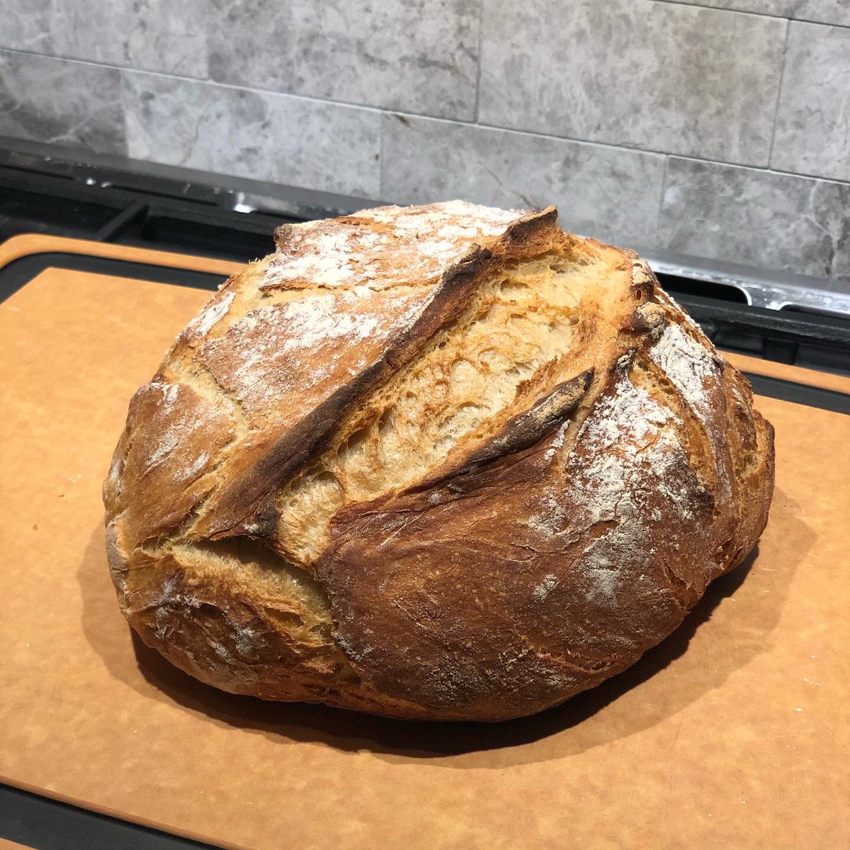 FoodPorn's tweet photo. 60/40 whole wheat/white flour mix for this loaf of #housebread https://t.co/35Hapv0XIP