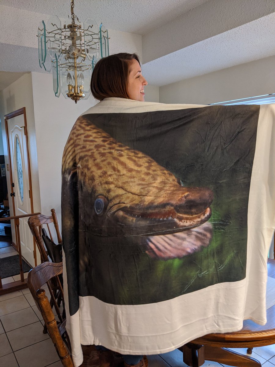 Atfredri's tweet image. Yesterday I successfully defended my master's which focused on developing a non-lethal stable isotope sampling method for Spotted and Alligator Gar. Today I wear my Gator Gar cape proudly.