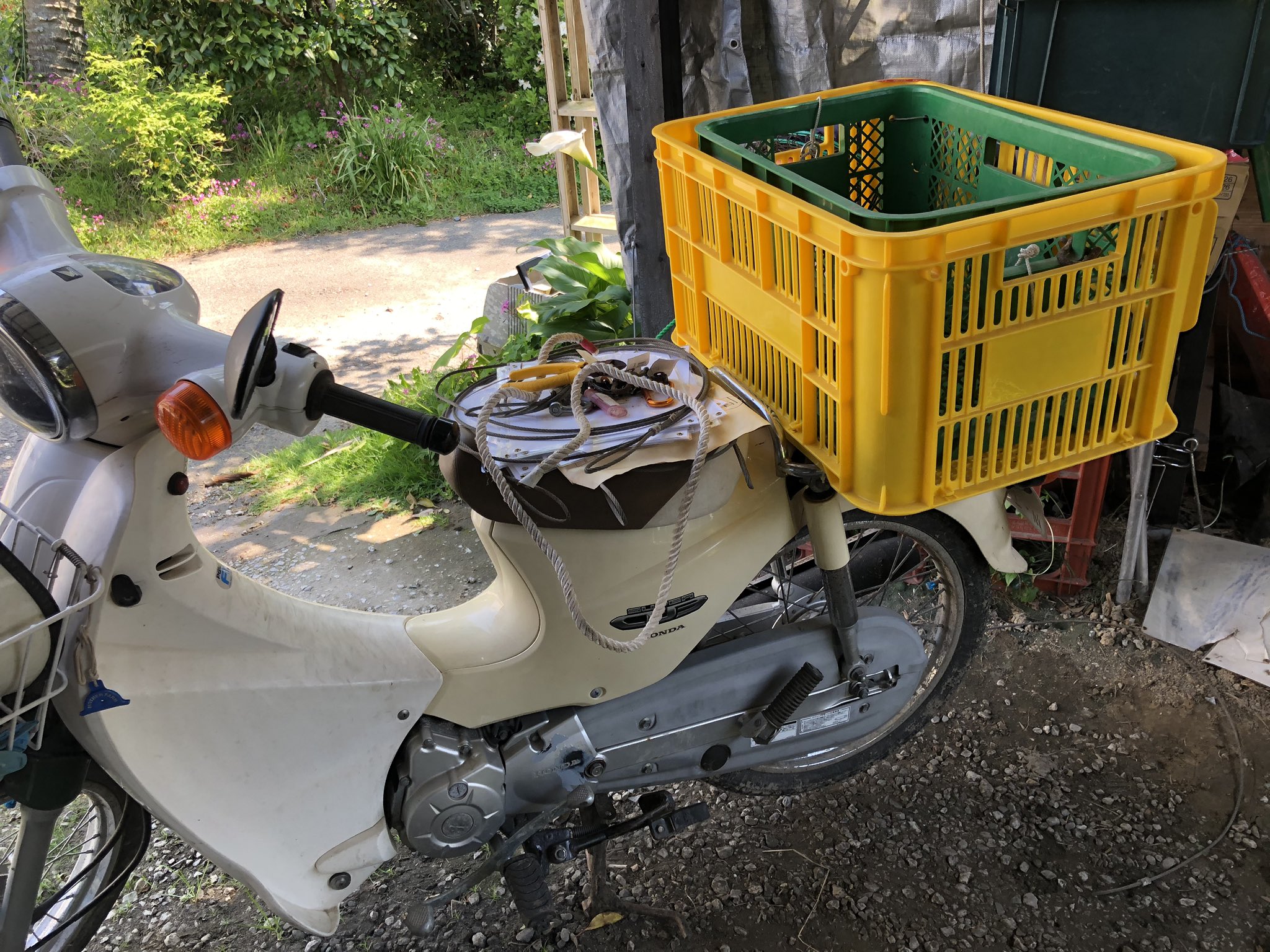 Oc 給付金10万円が貰えるのが確定したので 長年の夢だったカブのストレージボックスを収穫コンテナから富の象徴サンテナーに載せ替えました 収容量が一気に増えたのでワクワクします T Co U7sa47hudg Twitter