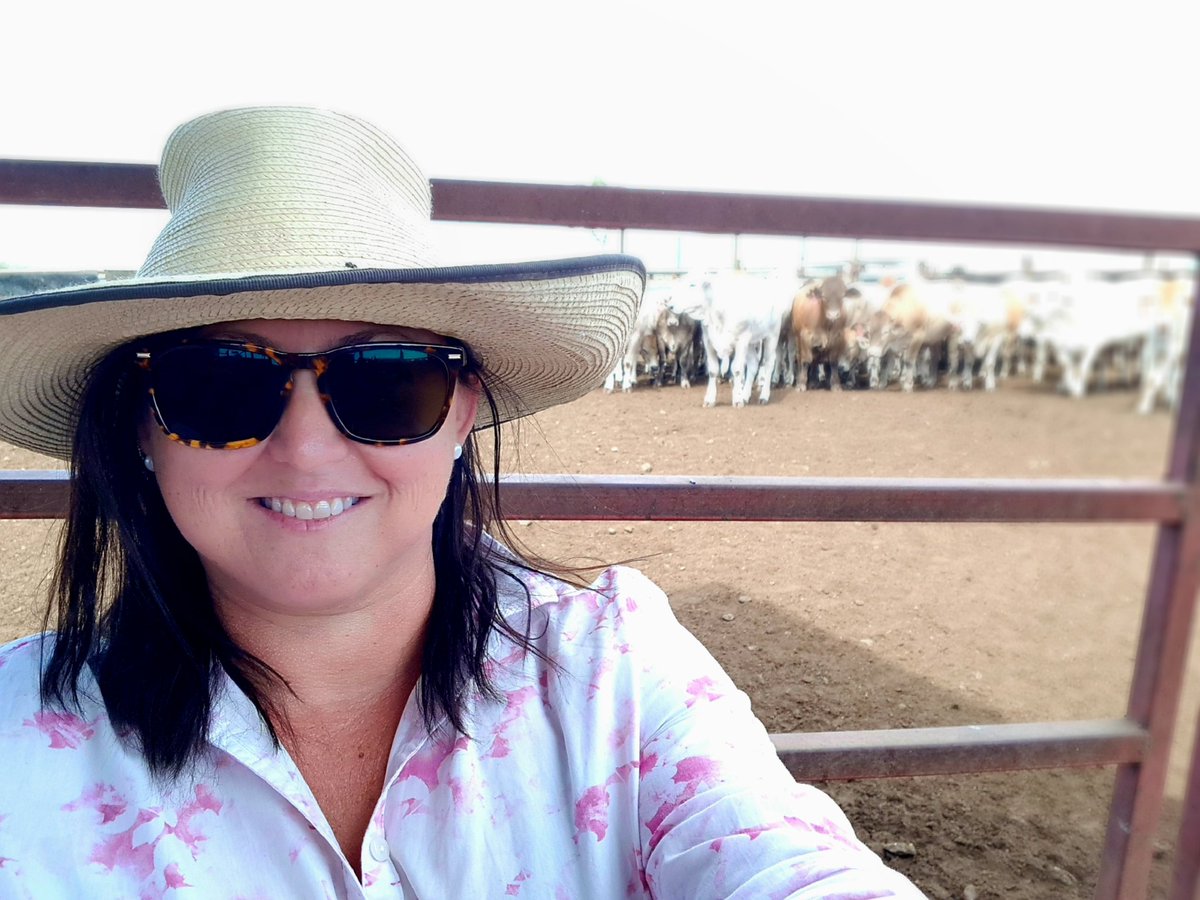 QSP73Z's tweet photo. Tune in to Qld Country Hour at noon today to hear yours truly talking about the soon to be launched, Southern Cross Beef.
Thanks @afeltontaylor + #ABCRadio Australia for your interest in #regional #beef brands + #agrifood projects in the time of #Covid19.
https://t.co/KjWFXiEyYf https://t.co/l6ExdeT1qZ