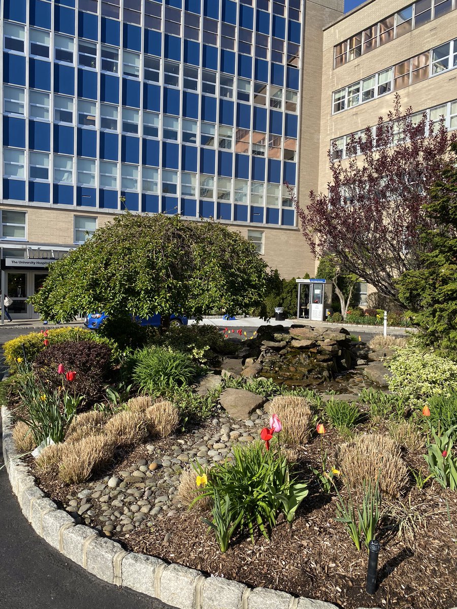 BronxCPNP tweet media