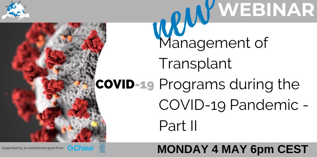 Maria Irene Bellini MD, PhD, FEBS, FACS tweet media