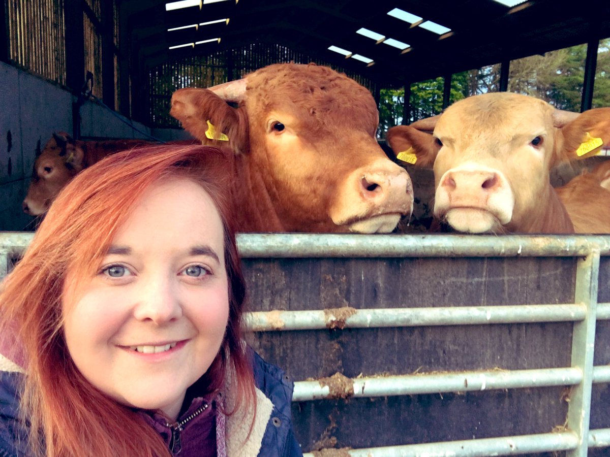 Morning, so today we’re taking some of our Limi bulls to Selby Market. The sad thing at the moment is we can’t stay and watch them sold due to Covid-19. Fingers crossed for a good price as it’s Great British Beef Week #GBBW #BackBritishFarming #FeedTheNation