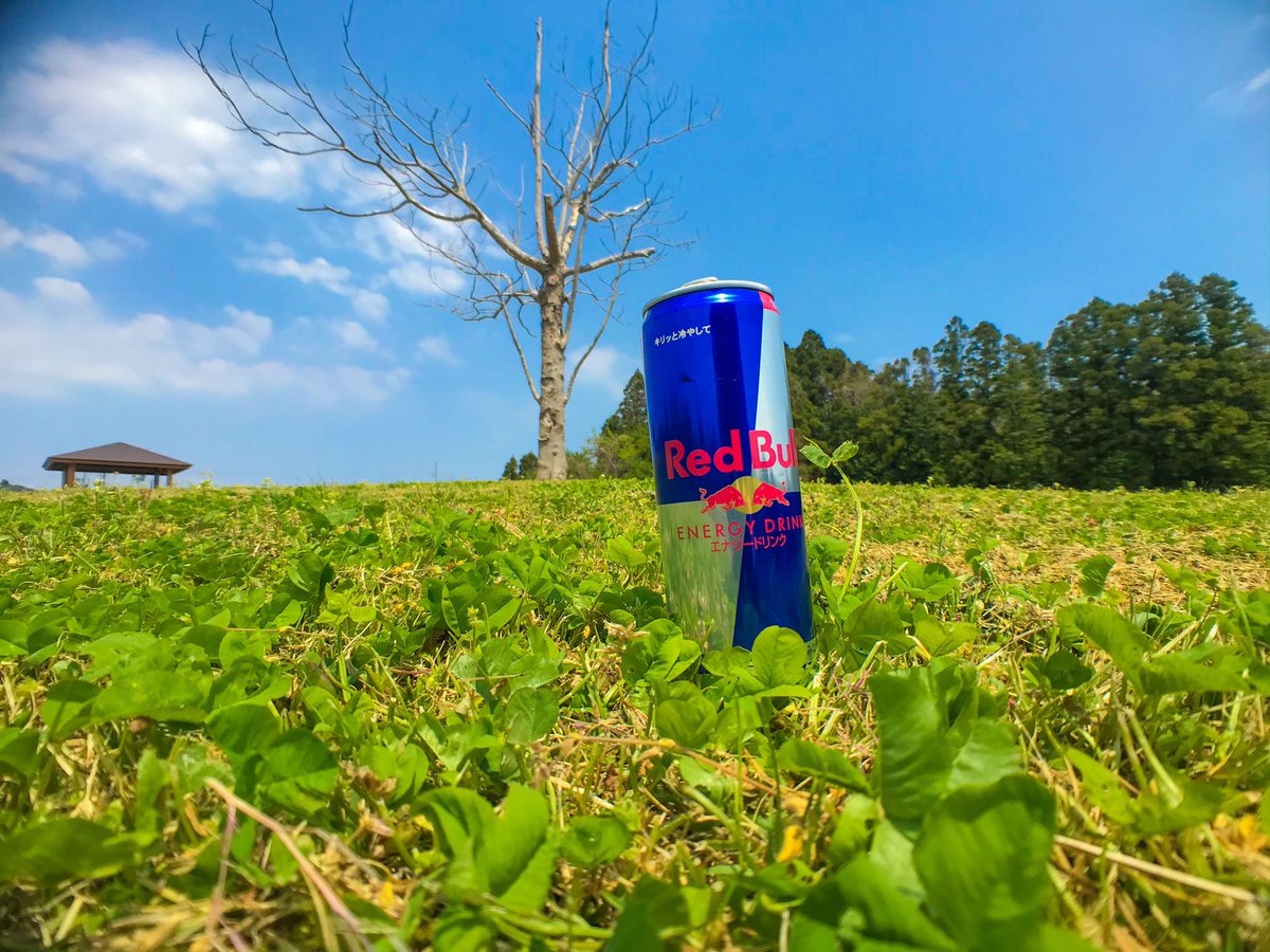 EnergyDrinkJPN's tweet photo. 翼をさずける
@RedBullJapan
#RedBullFriends https://t.co/uQv1hSHHPW