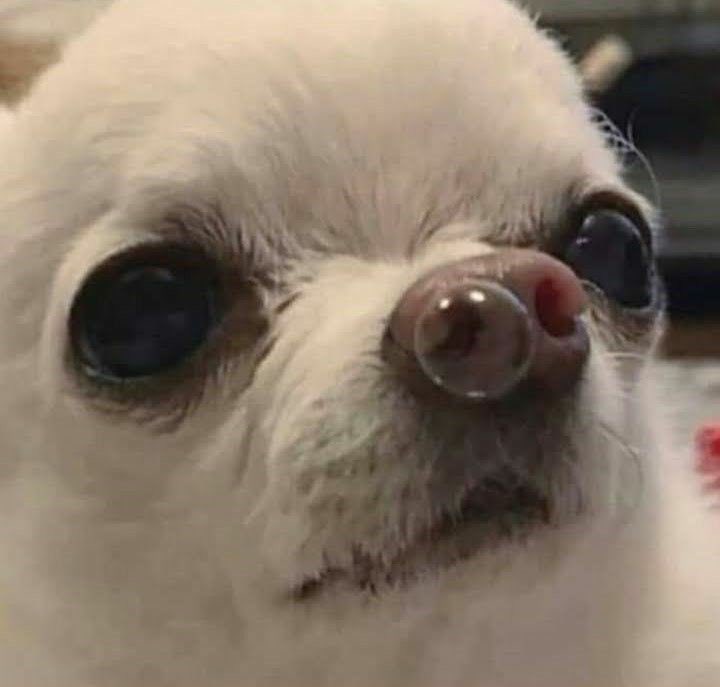 𝙍𝙪𝙥𝙥𝙝𝙖𝙥 𝐇 tweet media