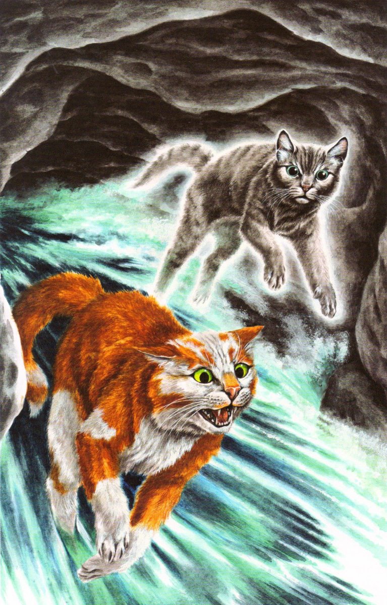 Dark River) 1. Jaypaw's dream with Fallen Leaves 2. Fallen Leaves with Rock  about to begin his test 3. Jaypaw and the stick 4. Lionpaw and Heatherpaw  in the tunnels, image size:767x1200