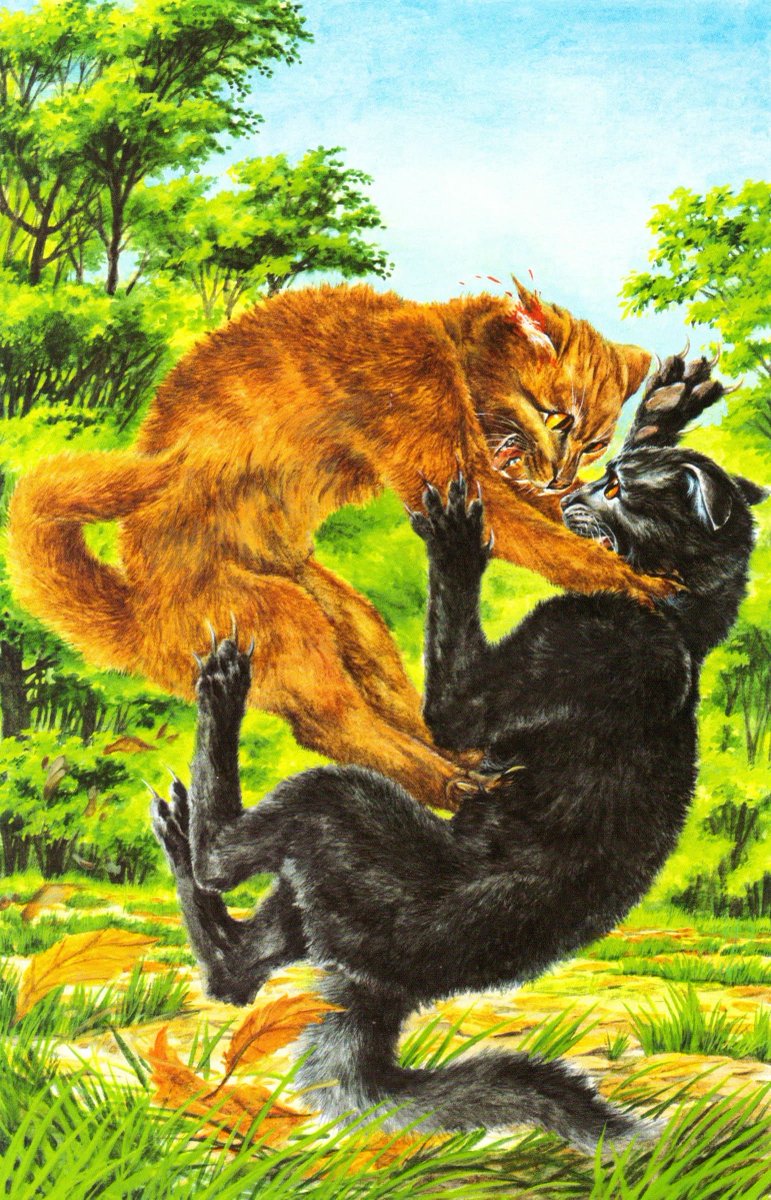 1. Lionpaw fights Breezepaw 2. Hollypaw is caught visiting Willowpaw by  RiverClan warriors 3. Lionpaw training with Tigerstar 4. Lionpaw, Hollypaw,  Jaypaw, Breezepaw, and Heatherpaw in the tunnels with the lost kits, image size:771x1200