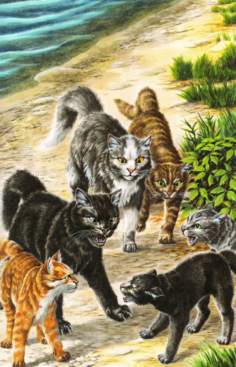 1. Lionpaw fights Breezepaw 2. Hollypaw is caught visiting Willowpaw by  RiverClan warriors 3. Lionpaw training with Tigerstar 4. Lionpaw, Hollypaw,  Jaypaw, Breezepaw, and Heatherpaw in the tunnels with the lost kits, image size:773x1200