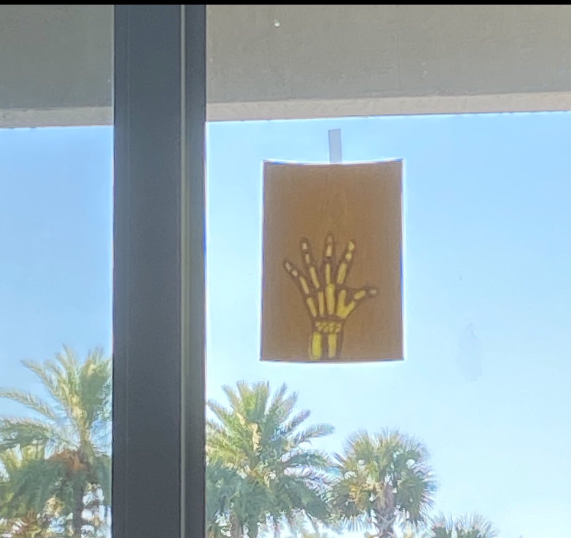 Lpalazzo01's tweet photo. Thank you @mysterysci MysteryDoug for this awesome mini lesson with activity about “Why our skeletons have so many bones.” My 2nd Ss had so much fun finding out using their hand &amp; it goes great with our #PBCSDHumanBody #CKLA domain. #staycurious @JenSkoblicki @ShineonSPES https://t.co/TbqBc28Vwf