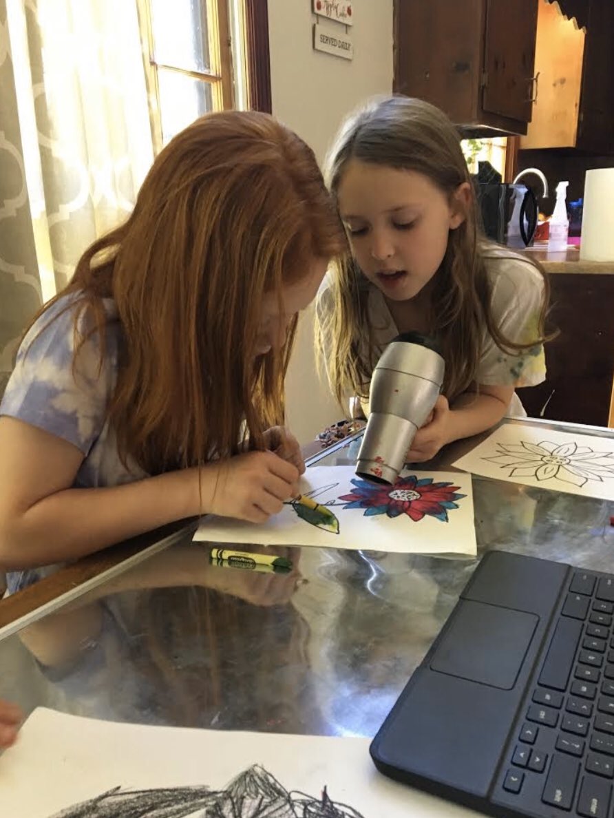 Lindsey McFadden tweet media