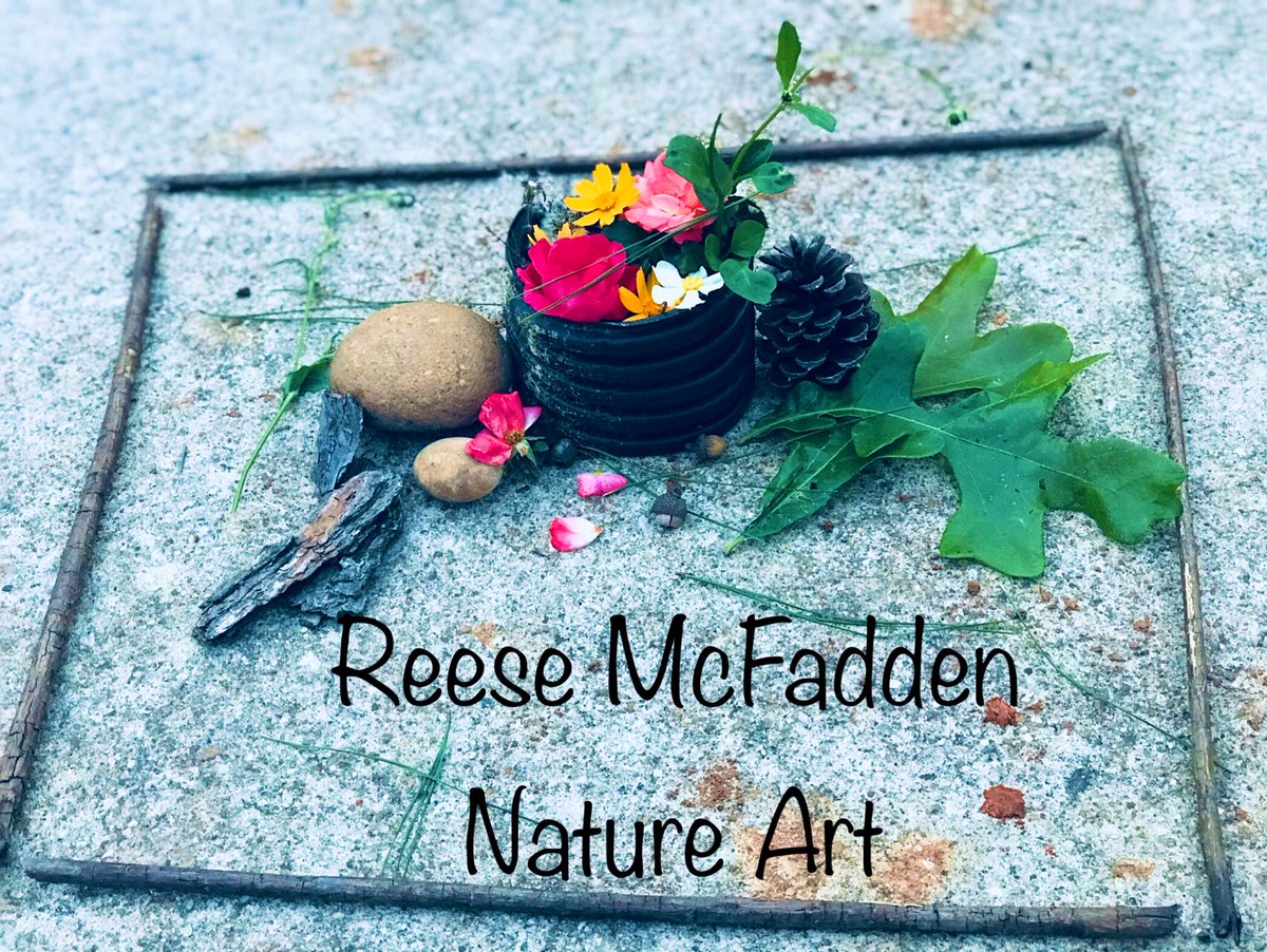 Lindsey McFadden tweet media