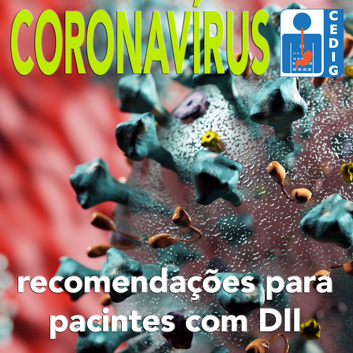 ClinicaCedig's tweet image. Recomendações para os profissionais de saúde e pacientes com doenças inflamatórias intestinais.
Veja o artigo no site: j.mp/39mdsWG
#dicascedig #coronavirus #dii #doencainflamatoriaintestinal #doençadecrohn #retocolite #prevencao