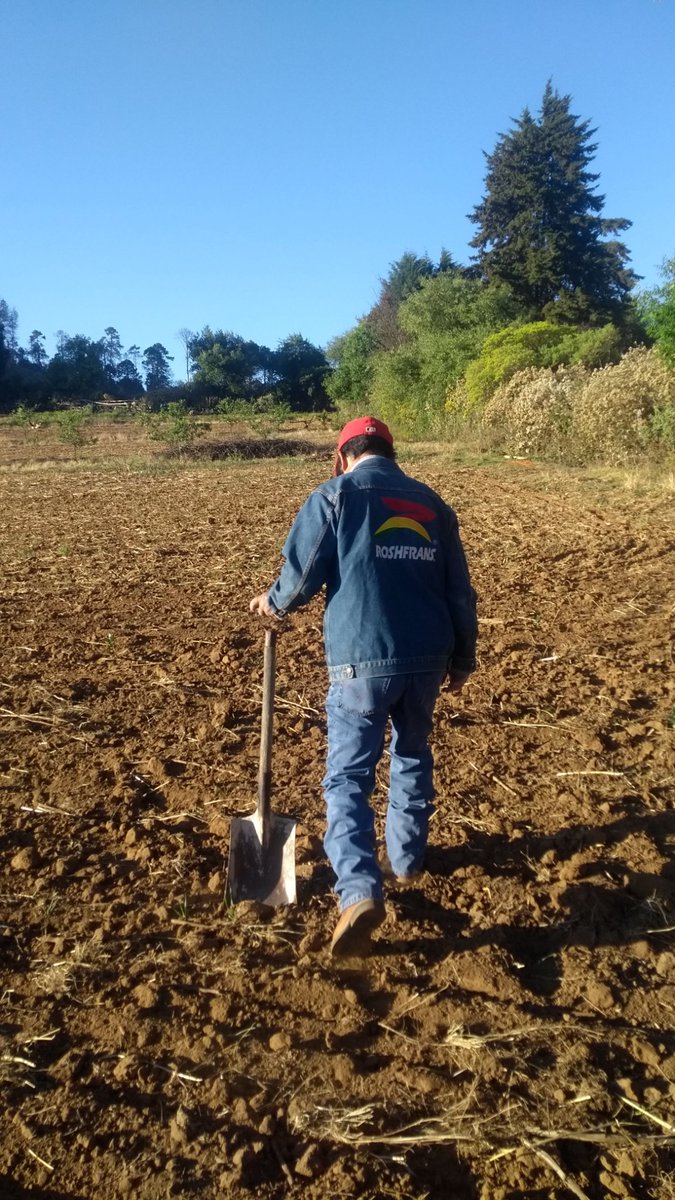 Alejand11122175's tweet photo. Porque al campo nada lo detiene! Productores de Contepec-Epitacio Huerta, Michoacán. # MasAgro #SPIIGA https://t.co/yw85oIH0ma