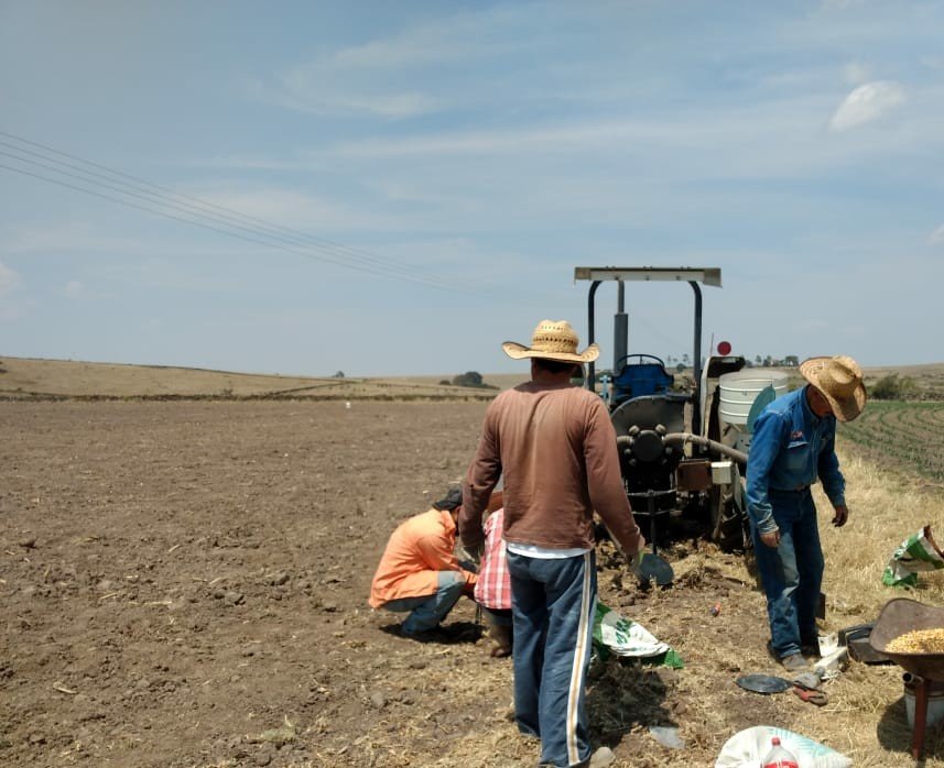 Alejand11122175's tweet photo. Porque al campo nada lo detiene! Productores de Contepec-Epitacio Huerta, Michoacán. # MasAgro #SPIIGA https://t.co/yw85oIH0ma