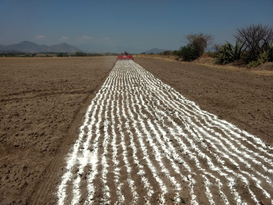 Alejand11122175's tweet photo. Porque al campo nada lo detiene! Productores de Contepec-Epitacio Huerta, Michoacán. # MasAgro #SPIIGA https://t.co/yw85oIH0ma