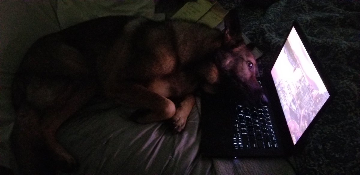 A new family business employee working late into the night, Clare