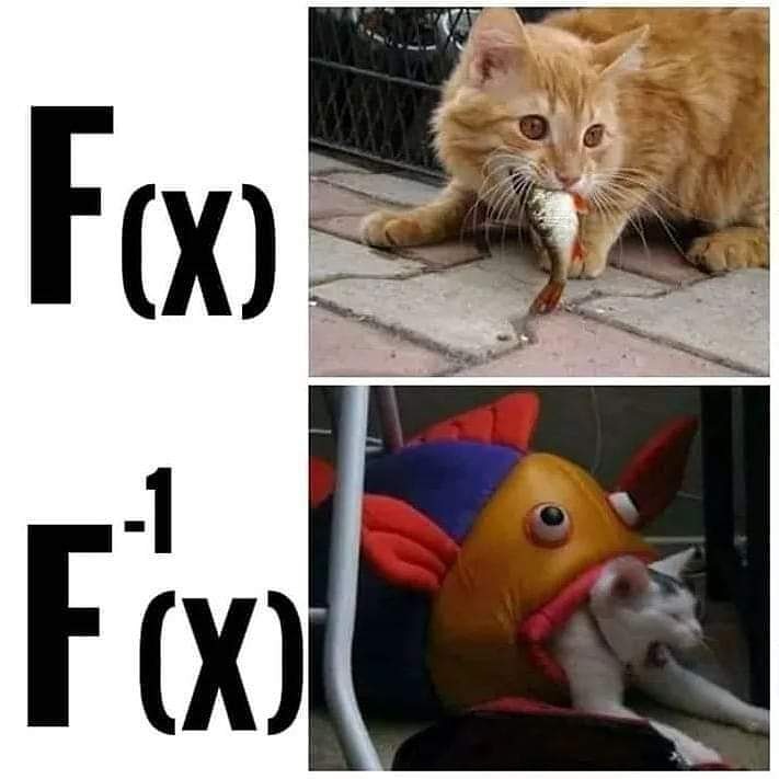 profleopinheiro's tweet photo. Função inversa, Domínio vira contradomínio e vice-versa.
#inversa #funcao #math #enem #uerj #eear #esa #sdv #sdvtodosnahora #brasil #enem2020 #f4follow https://t.co/bDN6K0CDW3