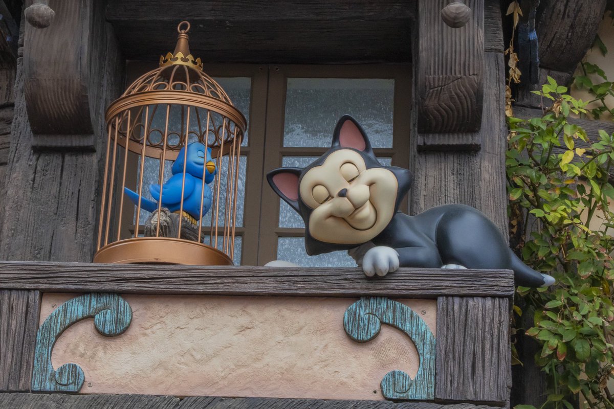 What have you been doing all day? 😴📸: @mousymagic <a href="/Disneyland/">Disneyland Resort</a>AP @DisneylandToday @Disneyland