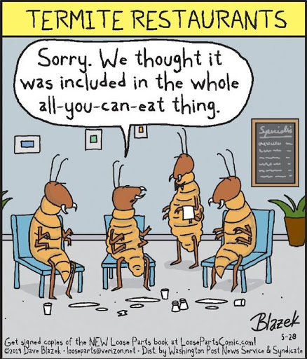 yourlocaltermi1's tweet image. Termites Eat 24 Hours a Day, 365 Days a Year!!!
Call us 1800 556 225, Stop them eating your HOME
#termiteattack #termitefree #yourlocaltermite